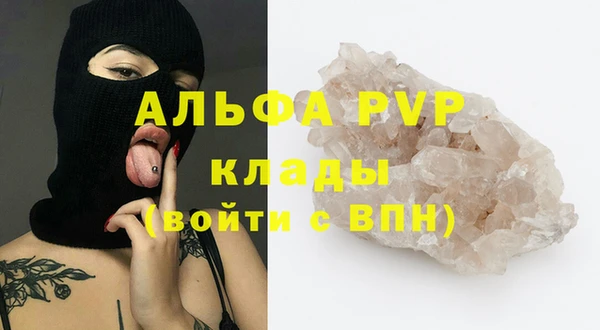 spice Кинешма