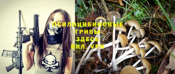 амфетамин Козловка