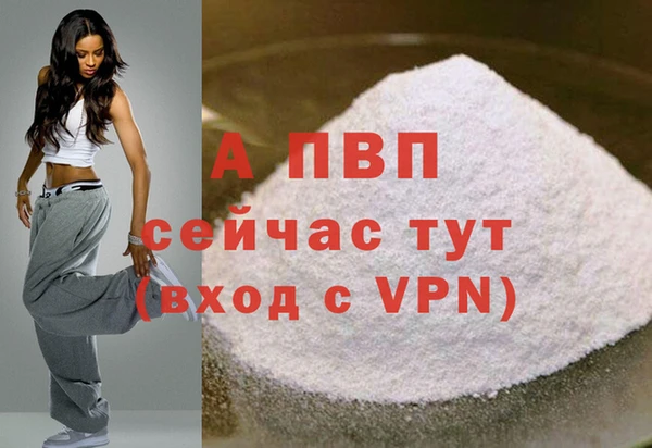 spice Кинешма