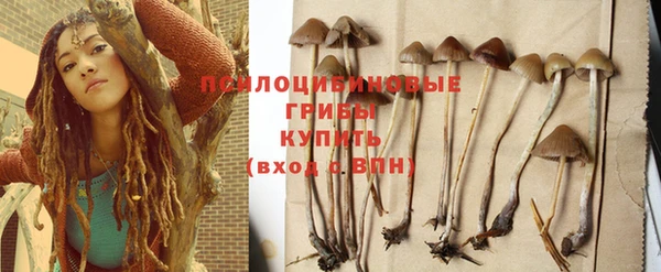 spice Кинешма